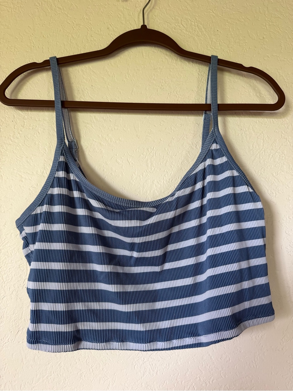 Striped Blue and White Cropped Swim Top